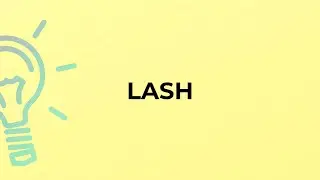 What is the meaning of the word LASH?