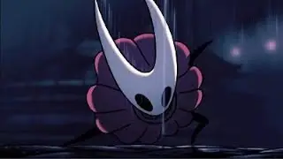 Hollow Knight Flower Quest