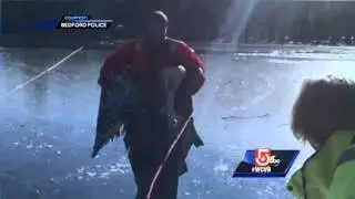 Swan rescued from frozen lake in Bedford