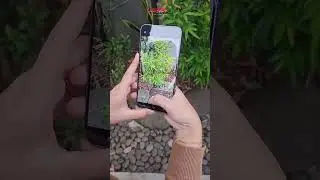 Samsung Galaxy bisa aktifin Live Photo loh. Gini caranya!