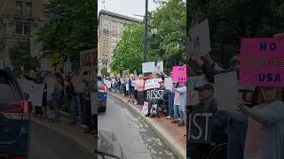 No Kings Protest in Binghamton #nokings #flagday