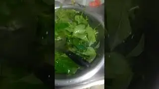 Sinigang na isda ulam sa haponan