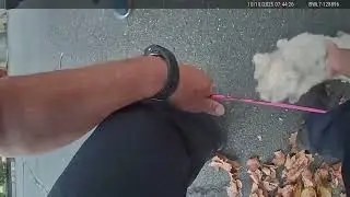 Bodycam video shows police officers rescue dog from storm drain