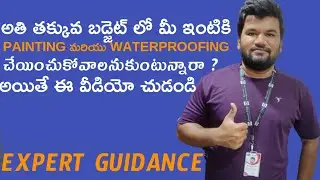 How to Choose Professional Painters and Waterproofing Experts within Your Budget?