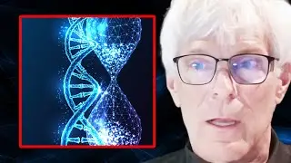 The Low Protein Diet Is NOT the Longevity Diet | Dr. Don Layman