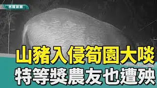 懂吃 ! 基隆 