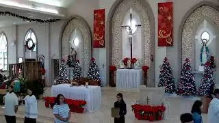 JANUARY 1, 2026 - SOLEMNITY OF MARY, MOTHER OF GOD - 8AM
