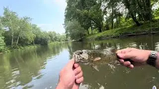 Fishing in the conewango creek what a great day!!