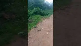 hapa ni shenguwi haliyahewa ya hapa nihivihivi