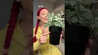 Самые странные тайники, которые вы никогда не найдете🤫Подпишитесь на новую часть :)