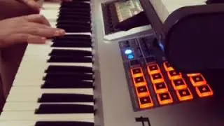 Bon Jovi  Livin On A Prayer - Performace Roland fantom G