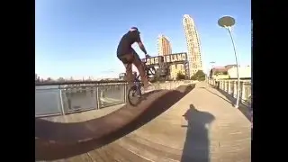 Animal Bikes: 