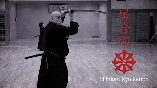 Learn Iaido Online or in Japan- Shinkan rye kenpo Japanese Swordsmanship