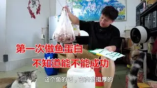 到菜市场买七斤鱼回来做鱼蛋白有机肥，第一次做也不知道能不能成功【我是杰少】