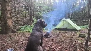 SPOOKY woodland wild camp. 👀 Someone watching us?