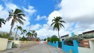 CURAÇAO ROAD TRIP Schelpwijk