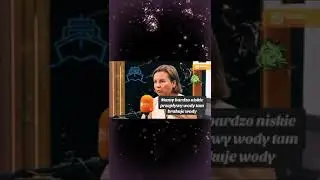 Wiceminister Zielińska: Ekologiczne Absurdalia z Ministerstwa