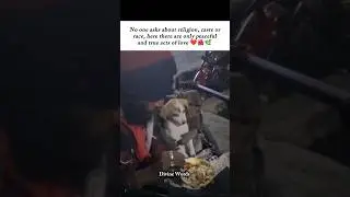 This Scene Restores Faith in Humanity ❤️🥹 #humanity #love #emotional #animalshorts