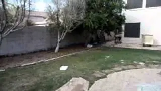 7553 W Ocotillo Rd