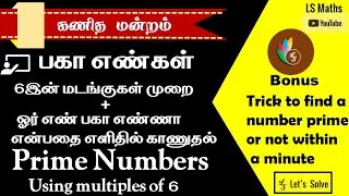TN Maths |Maths Club | Prime Numbers using Multiples Of 6 | Trick to check a number prime or not