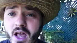 Fiddler Seed