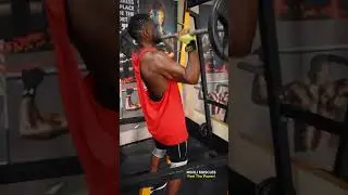 The Msoli Muscle Anthem
