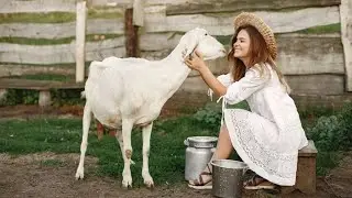 Mastering the Art of Goat Milking: From Udder to Utter Perfection