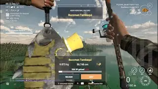 Fishing Planet - A Leprechaun's Favor II Mission - How to catch  Buzzman Tambaqui on Evergladds