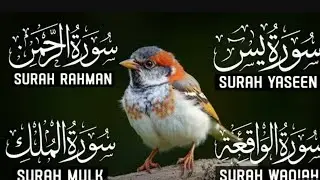 Yaseen surah baqarah
