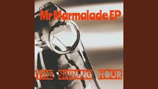 Mr Marmalade