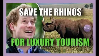 Will Prince Harry & African Parks Be Adding More Suffering With This New Project?