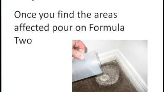 Urine Smell out of carpet