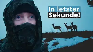 Wildlife-Fotografie mit der Sony A7IV und dem Sigma 150-600 DG DN