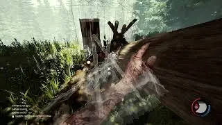 TheForest first vid