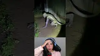 Um Monstro Real