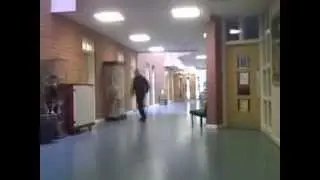 MUST SEE!!!Guy Gets Followed To The Toilet