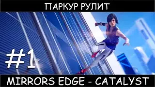 Mirrors Edge - Catalyst #1