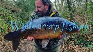 **Cold winter carp session** Scaley black original caught !
