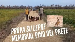 Prova su lepre C.A.C. Mesagne (BR) Memorial Pino Del Prete.