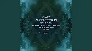 Ancient Artifact (Pavlin Petrov Remix)