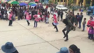 Negritos de Lircay _2019