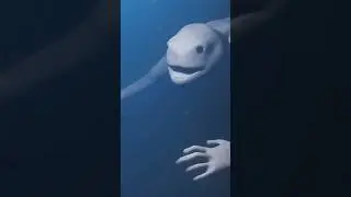 We&rsquo;ve Explored Less Than 1% of the Ocean!