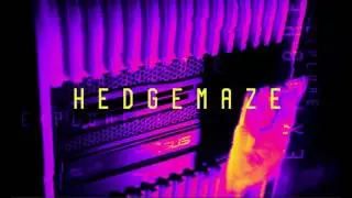 HALLEY LABS - HEDGEMAZE - Ai4XG-n;2_k.^!6.tEw