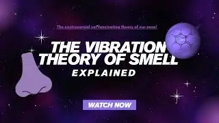 A creative take on Luca Turin&rsquo;s vibrational theory of smell | Breakthrough Junior Scientist 2025