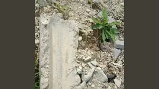 Paket komplit