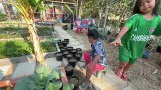 នាយក្រិនទិញផ្កា