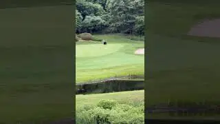 Bear got tired after playing Golf.