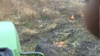 Mowing down the 2009 Pumpkin patch