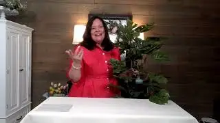 Choice of 4' or 5' Monstera Potted Plant by Valerie on QVC