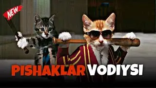 PISHAKLAR VODIYSI | AZIK BOOM NAJIM | QASHQIRLAR MAKONI PARODIYA
